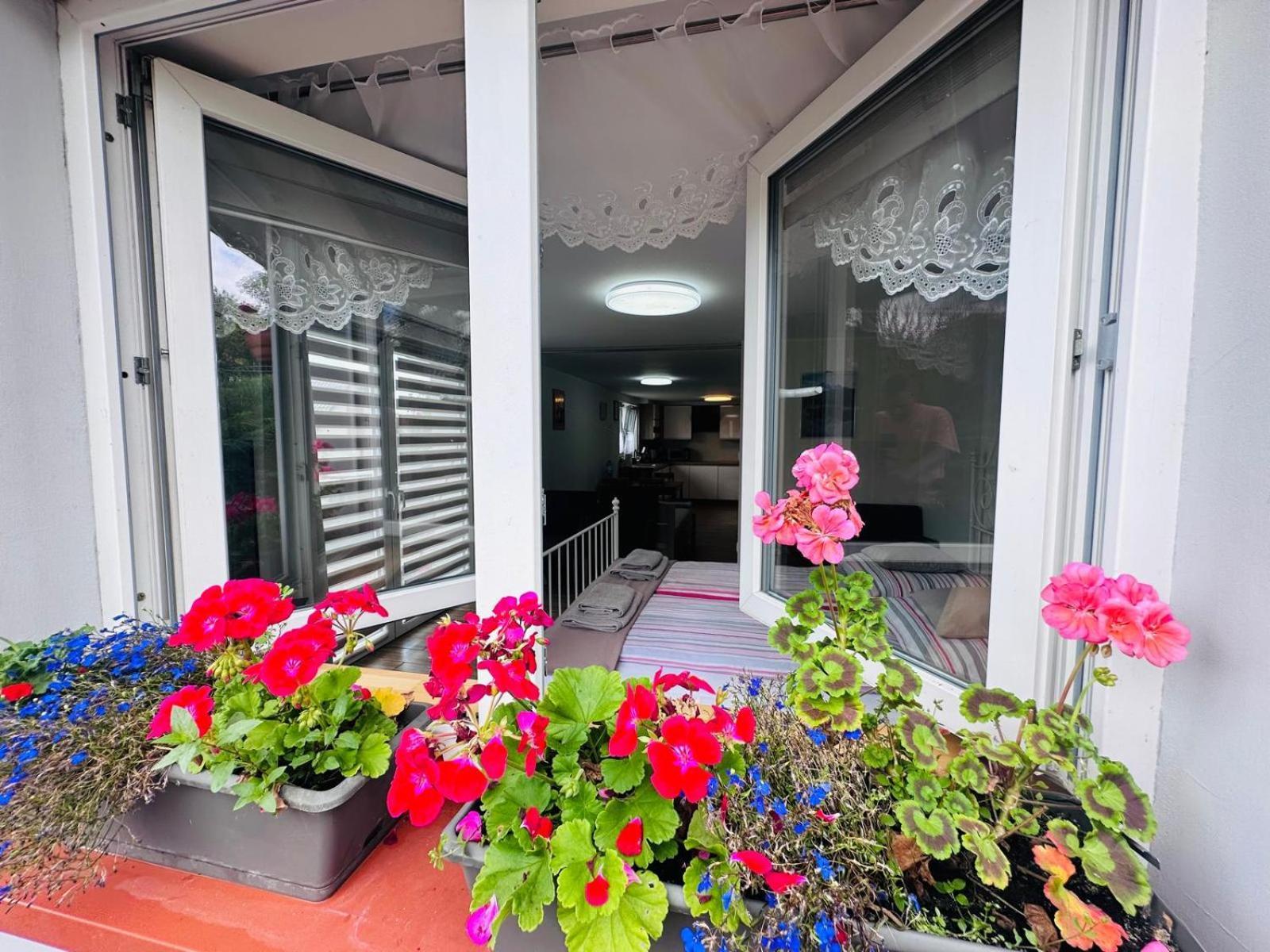 Apartament Bukowy Kłodzko Kültér fotó